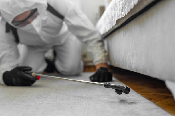 Professional Bed Bug Control technician working in Hendry County County, FL